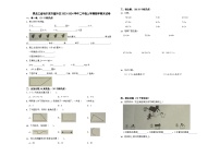 黑龙江省哈尔滨市道外区2023-2024学年二年级上学期期末数学试卷