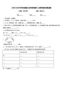 2023-2024学年安徽省六安市舒城县三上数学期末经典试题含答案