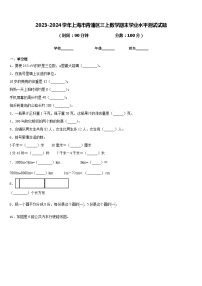 2023-2024学年上海市青浦区三上数学期末学业水平测试试题含答案