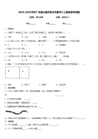 2023-2024学年广东省汕尾市陆丰市数学三上期末联考试题含答案