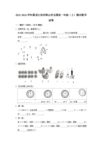 黑龙江省双鸭山市宝清县2023-2024学年一年级上学期期末数学试卷