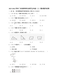 广东省深圳市宝安区2023-2024学年五年级上学期期末数学试卷