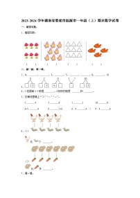 湖南省娄底市涟源市2023-2024学年一年级上学期期末数学试卷