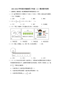 重庆市潼南区2023-2024学年六年级上学期期末数学试卷