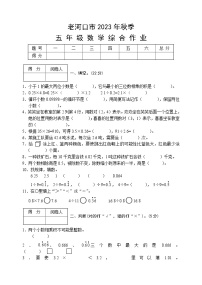 湖北省襄阳市老河口市2023-2024学年五年级上学期期中考试数学试题