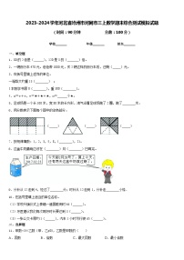 2023-2024学年河北省沧州市河间市三上数学期末综合测试模拟试题含答案