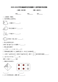 2023-2024学年湖南省怀化市溆浦县三上数学期末考试试题含答案