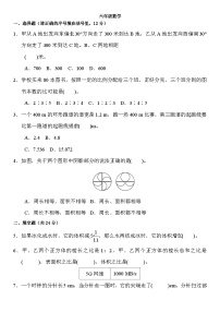 人教版六年级上册数学 期末复习练习（无答案）