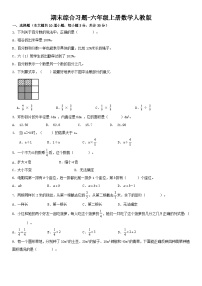 人教版六年级上册数学期末综合训练  （无答案）