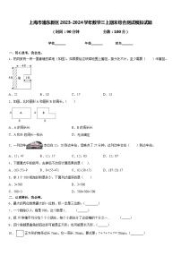 上海市浦东新区2023-2024学年数学三上期末综合测试模拟试题含答案