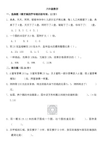 人教版六年级上册小学数学期末复习练习 （无答案）