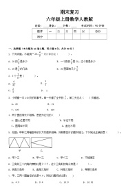 人教版 六年级上册 数学期末 复习卷 （无答案）