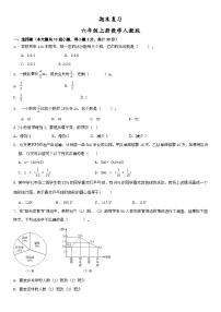 人教版六年级上册数学期末 复习卷 （无答案）