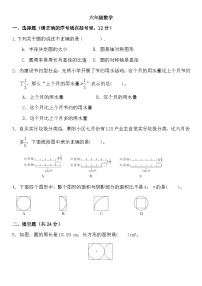 人教版6年级上册数学期末练习(试题)（无答案）