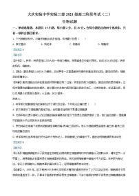 北京市大兴区2023-2024学年三年级上学期期末数学试题