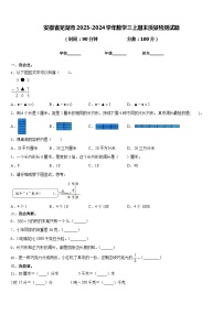 安徽省芜湖市2023-2024学年数学三上期末质量检测试题含答案