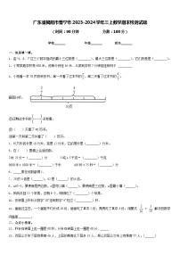 广东省揭阳市普宁市2023-2024学年三上数学期末检测试题含答案