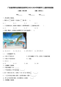 广东省深圳市龙华新区实验学校2023-2024学年数学三上期末检测试题含答案