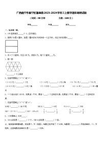 广西南宁市邕宁区蒲庙镇2023-2024学年三上数学期末调研试题含答案