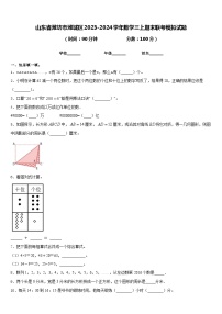 山东省潍坊市潍城区2023-2024学年数学三上期末联考模拟试题含答案