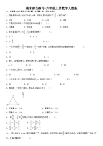 人教版六年级上册数学期末综合练习（无答案）