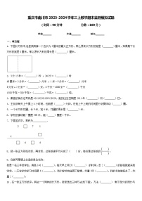 重庆市南川市2023-2024学年三上数学期末监测模拟试题含答案