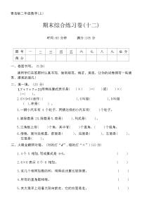 期末综合练习卷(十二)（试题）-2023-2024学年二年级上册数学青岛版