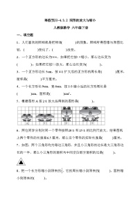 寒假预习-4.3.2 图形的放大与缩小 人教版数学 六年级下册