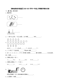 湖南省娄底市娄星区2020-2021学年一年级上学期数学期末试卷