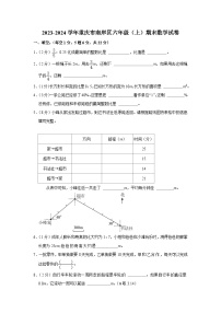 重庆市南岸区2023-2024学年五年级上学期期末数学试卷