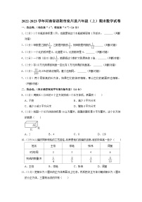 河南省洛阳市栾川县2022-2023学年六年级上学期期末数学试卷