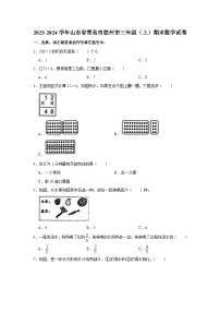 山东省青岛市胶州市2023-2024学年三年级上学期期末数学试卷