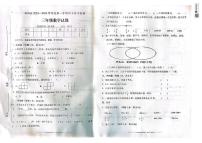 安徽省铜陵市枞阳县2023-2024学年三年级上学期期末考试数学试题