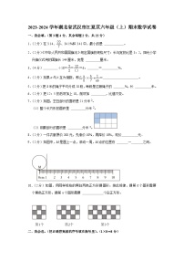 湖北省武汉市江夏区2023-2024学年六年级上学期期末数学试卷