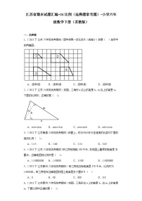 江苏省期末试题汇编-04比例（选择题常考题）-小学六年级数学下册（苏教版）