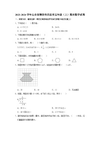 山东省潍坊市昌邑市2023-2024学年五年级上学期期末数学试卷