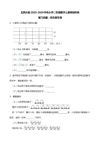 北师大版2023-2024学年小学二年级数学上册寒假专项复习巩固：综合题专训（附答案）