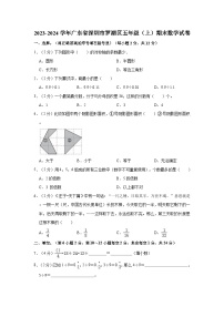 2023-2024学年广东省深圳市罗湖区五年级（上）期末数学试卷