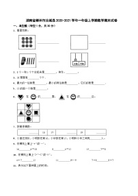 湖南省郴州市汝城县2020-2021学年一年级上学期数学期末试卷