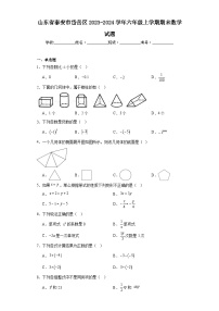 山东省泰安市岱岳区2023-2024学年六年级上学期期末数学试题(含答案)