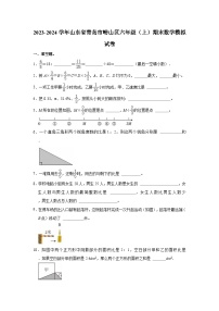 2023-2024学年山东省青岛市崂山区六年级（上）期末数学模拟试卷