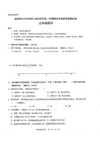 广东省深圳龙华区2023-2024五年级上册数学期末试卷