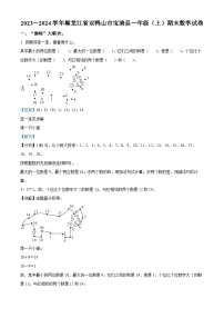 29，2023-2024学年黑龙江省双鸭山市宝清县人教版一年级上册期末测试数学试卷