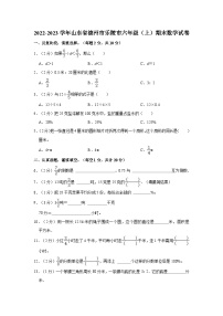 2022-2023学年山东省德州市乐陵市六年级（上）期末数学试卷