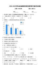 山东省淄博市周村区2022-2023学年四年级下学期数学期末试题