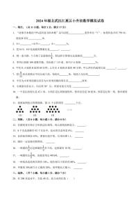 2024年湖北省武汉市江夏区小升初模拟数学试卷