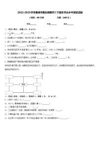 广东省惠州市惠东县2022-2023学年三年级下学期期末数学试题含答案