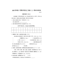 浙江省温州市瑞安市2023-2024学年三年级上学期期末数学试题