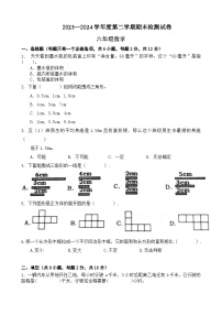 期末模拟试卷（试题）-2023-2024学年六年级下册数学北师大版+