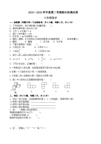 期末模拟试卷（试题）-2023-2024学年六年级下册数学北师大版+